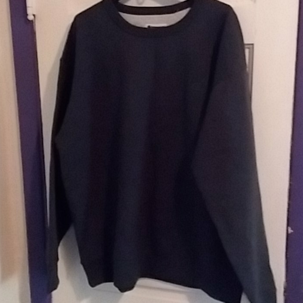 Champion sweatshirt